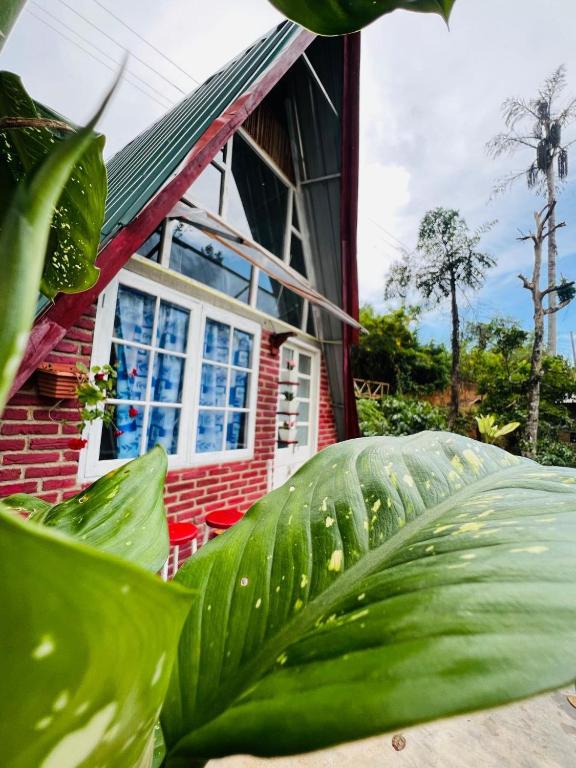 Dehigasella Cabana - B&B Bandarawela