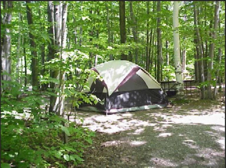 Primitive Camp Sites - B&B Gaines
