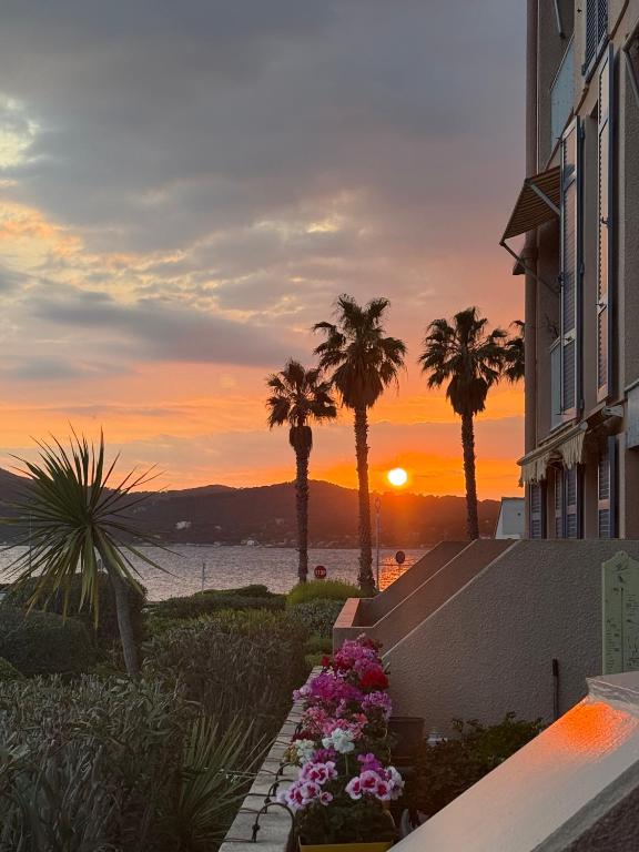 Appartement Les embruns - Chambres d'hôtes Saint-Mandrier-sur-Mer