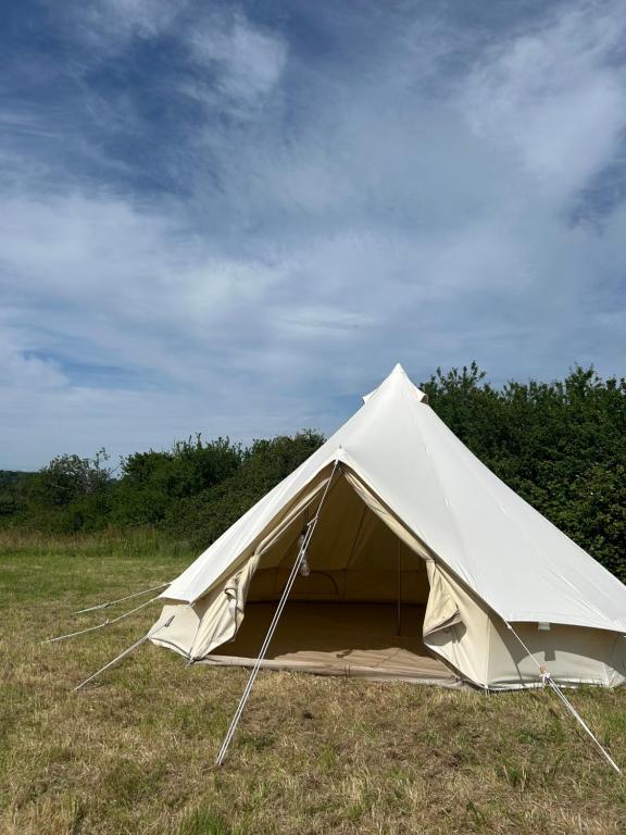 Brambles bell tent - B&B Brading