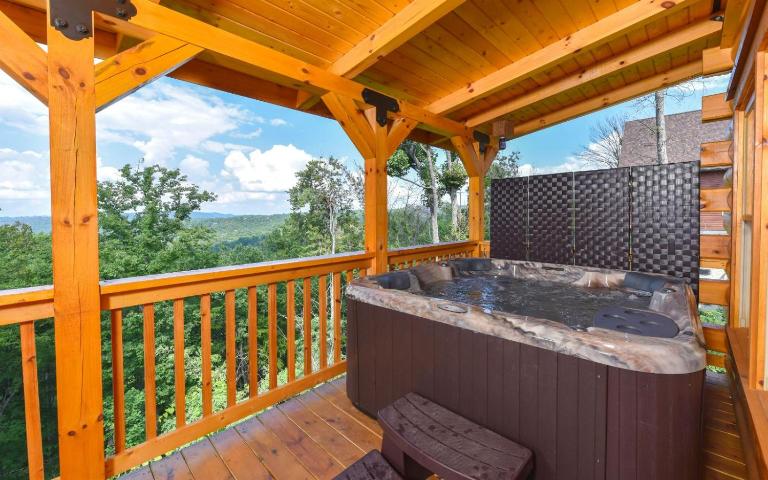 A Wildflower Retreat - Chambres d'hôtes Gatlinburg