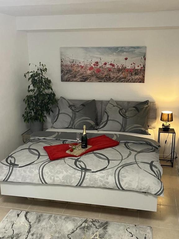 Apartman Collie - Chambres d'hôtes Silůvky