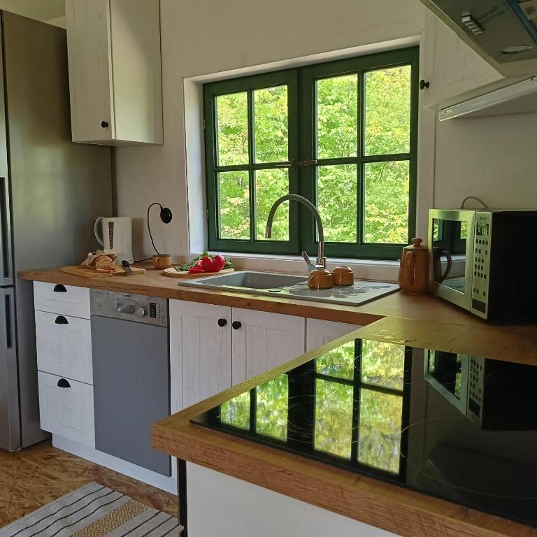 Zielony Domek Letniskowy - Ferienwohnung Lędziechowo