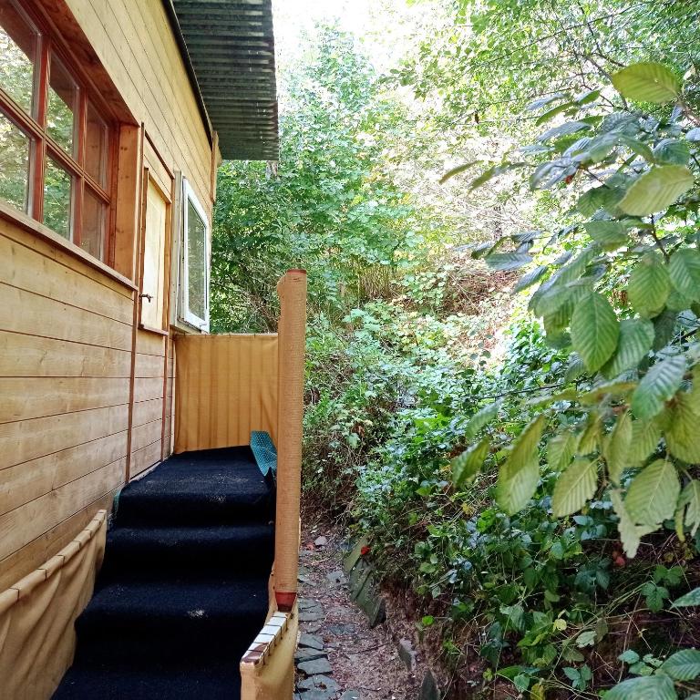 A-Sissy-Hof Tierschutzhof - Ferienwohnung Unterweg