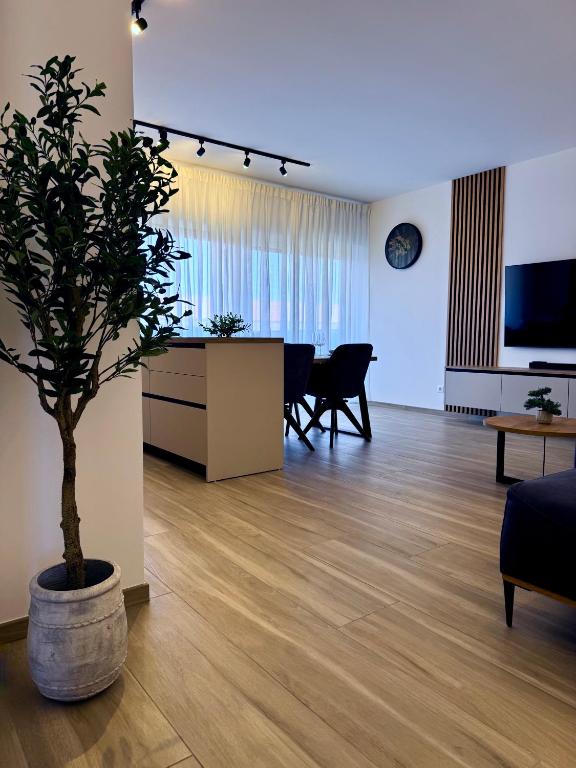 Apartment Navis Povljana - B&B Povljana