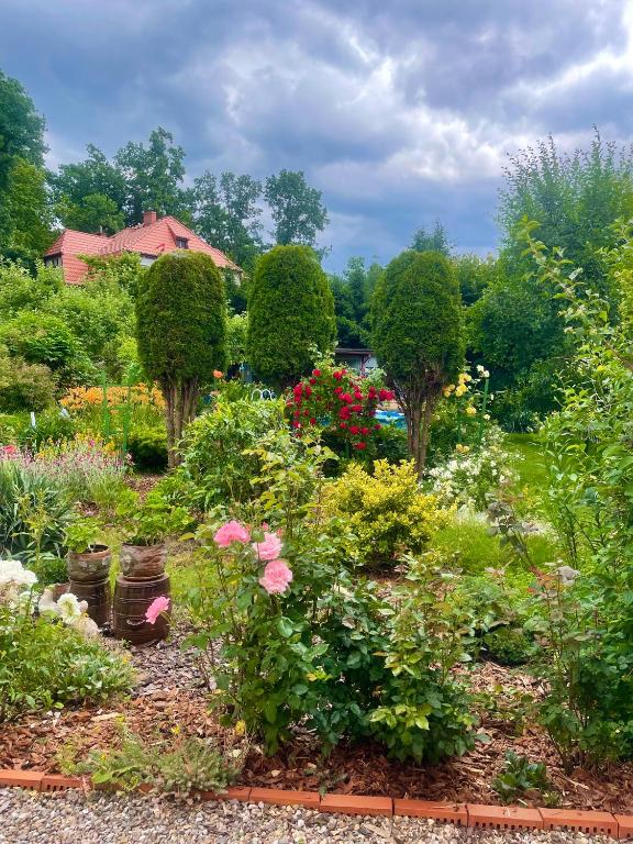 Pola - B&B Jelenia Góra