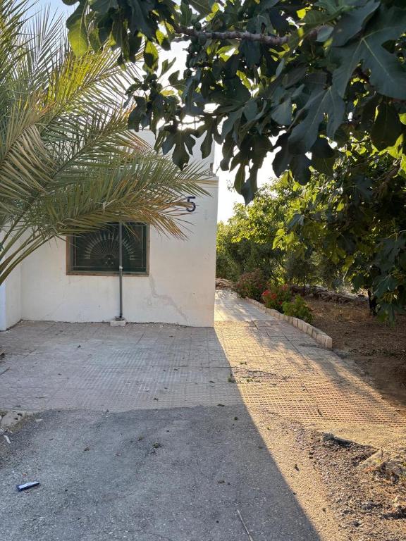 Featured House Furnished Independent for Rent - B&B Ajloun