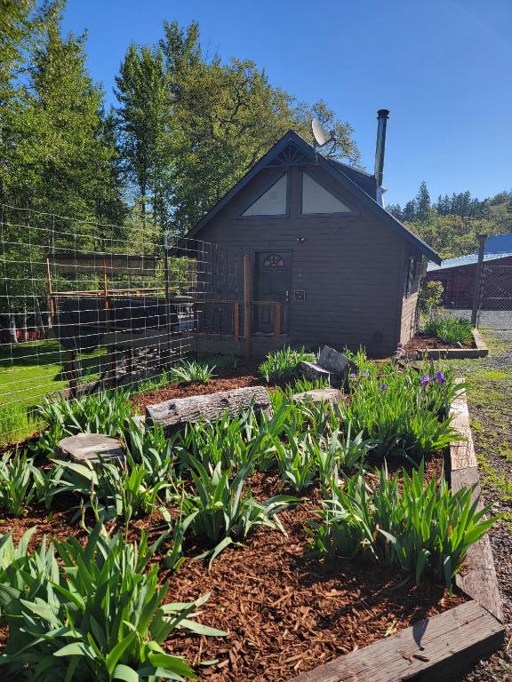Cozy Cabin, near Mosier and Hood River - Ferienwohnung Mosier
