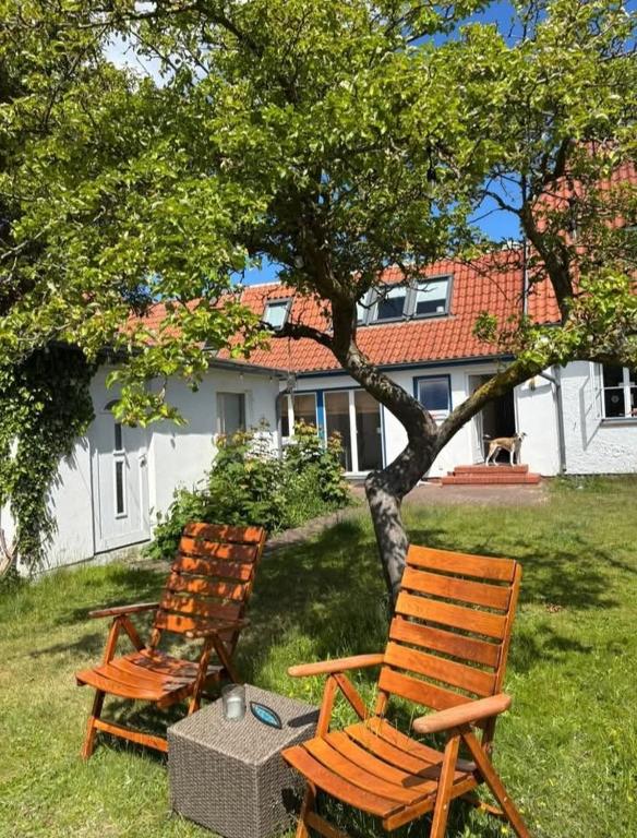 Ahoi Zingst - B&B Zingst