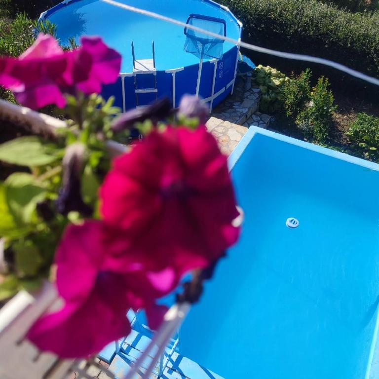 Lux Apartmans-VILA MALI RAJ - Bed and Breakfast Udovice