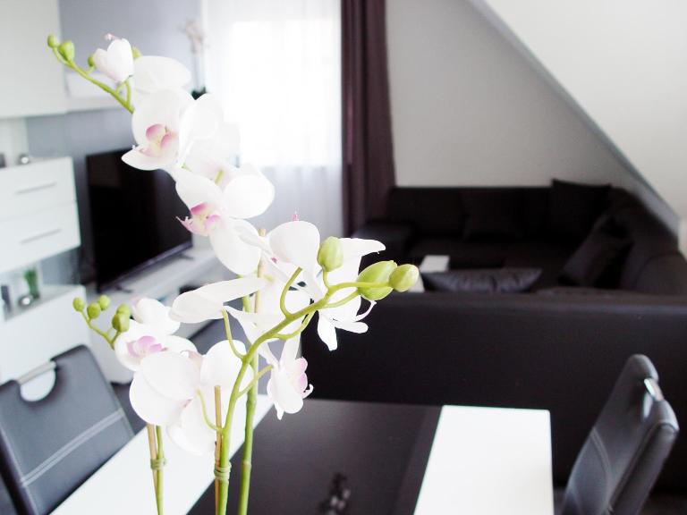 La Domus Premium Osnabrück Lotte - B&B Lotte