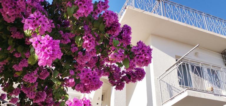 Apartman Mare - B&B Brodarica