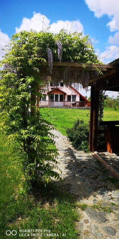 Family Mountain Cottage - Chambres d'hôtes Cârţişoara
