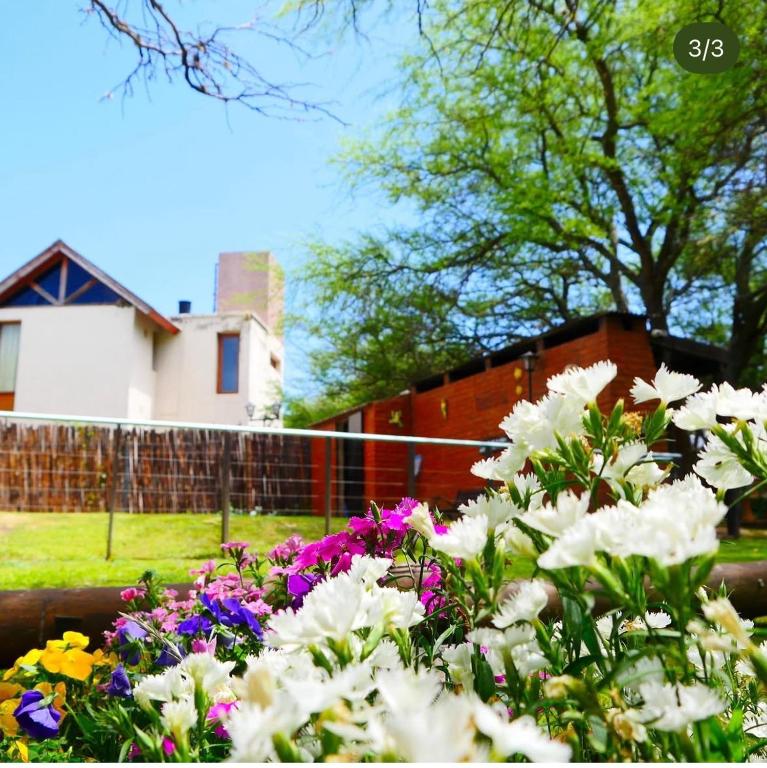 Cabañas Villa las Lomas - B&B Potrero de los Funes