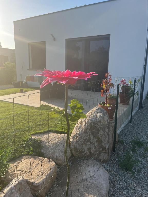 Maison INDEPENDANTE entre mer et montagne - B&B Prunelli di Fiumorbo