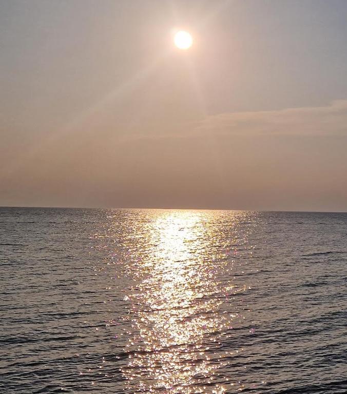 Studio Apartman Mario - Ferienwohnung Umag