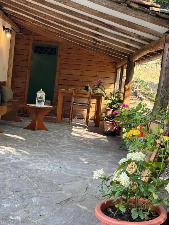 Cozy house in the Chianti region - B&B Castelnuovo Berardenga