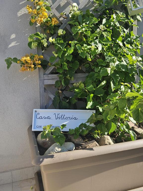 Casa VITTORIA - B&B Procchio
