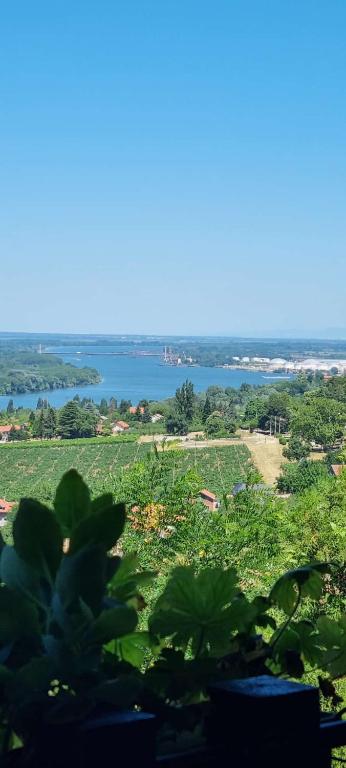 View Point House - Ferienwohnung Smederevo