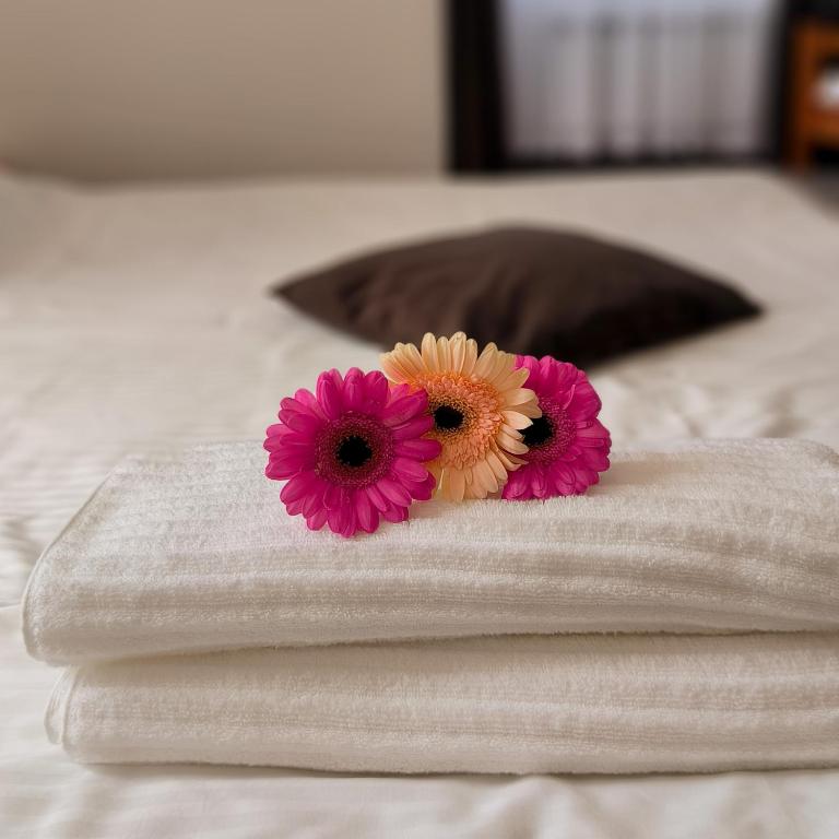 Noclegi Pod Lyskami - B&B Nowy Targ
