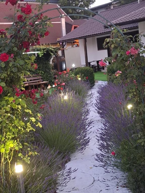 CASA MARIA - B&B Jupiter