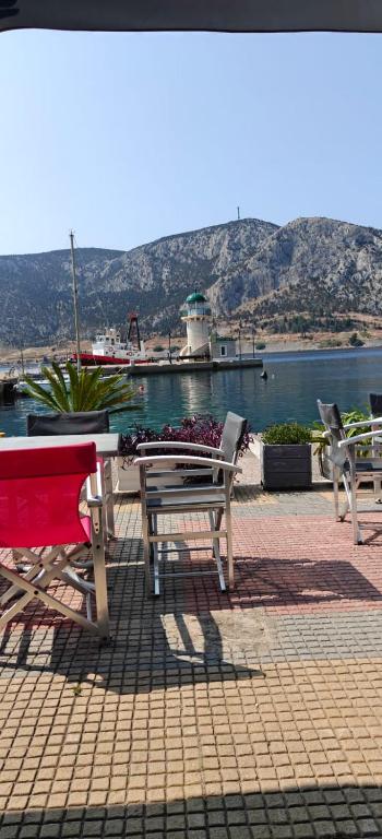 Apartment Antikyra - Bed and Breakfast Antikyra