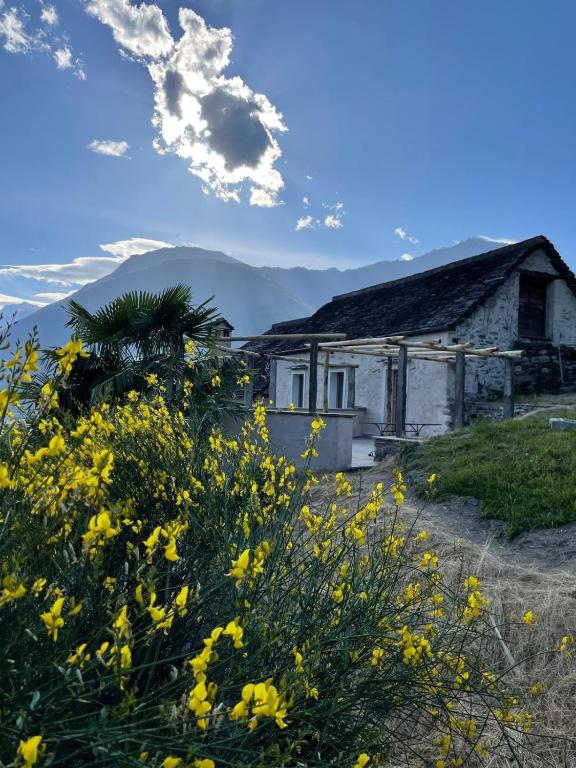 La Terrazza di Rivoria - Vue magique & Terrasse - B&B Masera