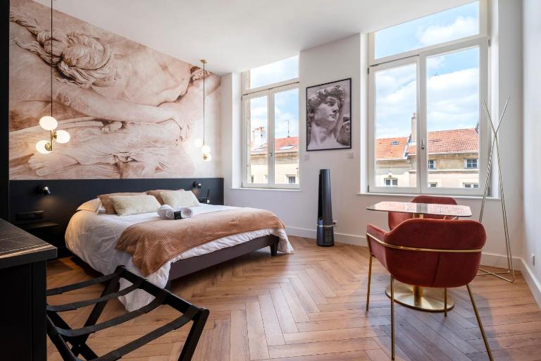 Les perchoirs de Stanislas 2 - logement de standing hyper centre - B&B Nancy