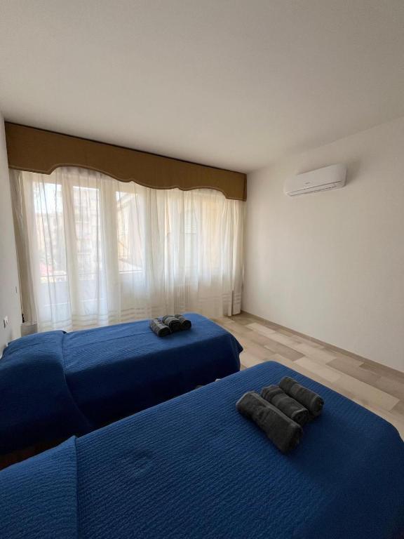 Ampio appartamento 6 posti con aria condizionata e balconi - Chambres d'hôtes Florence