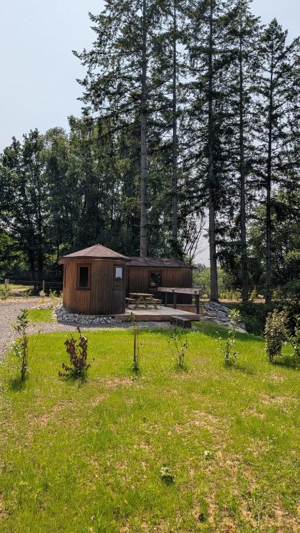 L'Écorce & le Tanin - 2 cabanes cosy pour 4, pêche - B&B Roye