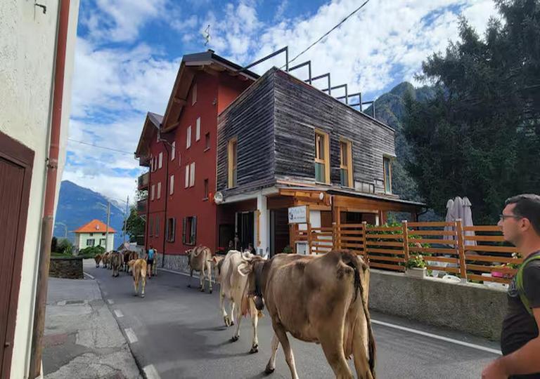 Residence Valgerola - Chambres d'hôtes Pedesina
