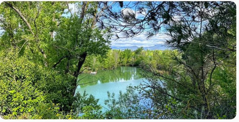 Villa les Tamaris - B&B Gignac