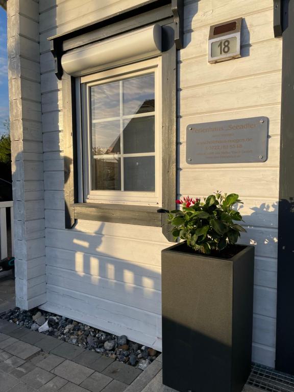 Ferienhaus Seeadler- Dein Rückzugsort zwischen Boddenstille und Meeresrauschen - Ferienwohnung Dranske
