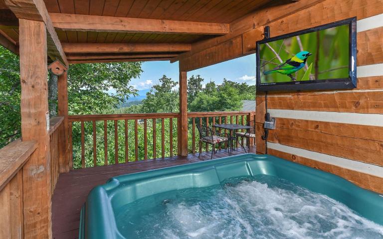 A Mountain Hibernation - B&B Sevierville