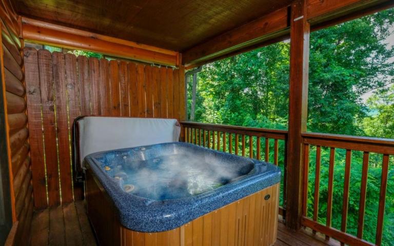 Snuggly Bear Cabin - B&B Gatlinburg