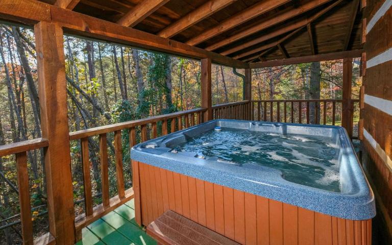 Laughing Bear - Bed and Breakfast Pigeon Forge