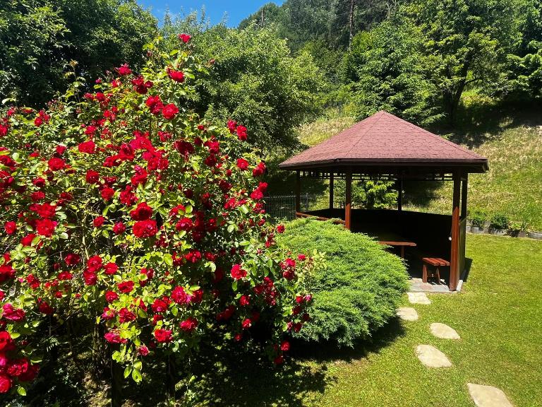 Muszyńskie Zacisze - B&B Muszyna