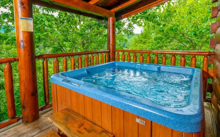Lucky Enough - Chambres d'hôtes Pigeon Forge