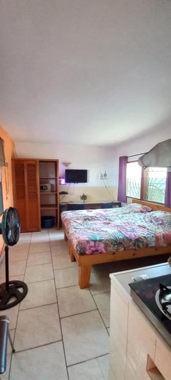 Busy Bee Apartments - B&B Kololi