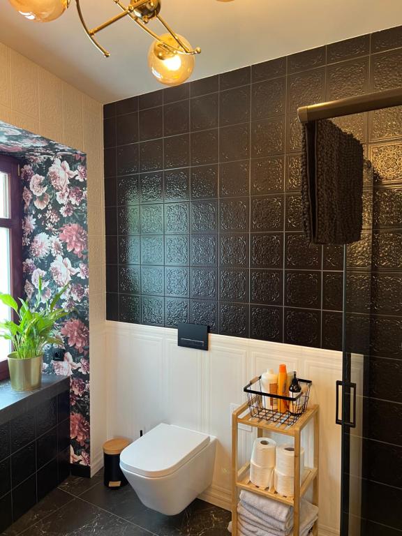 Apartamenty Katedralna Legnica - B&B Legnica