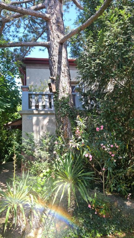 Kasza Villa - B&B Balatonfüred