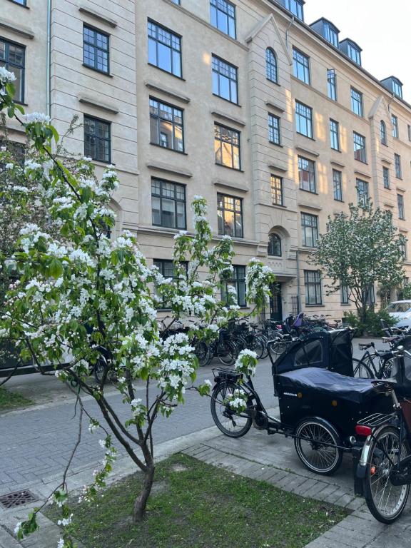 Apartment in the heart of Vestebro - Chambres d'hôtes Copenhague