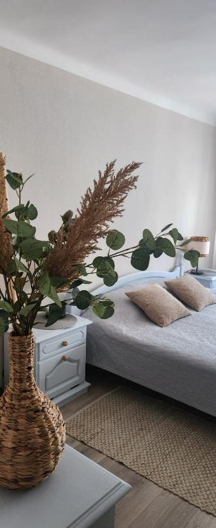 Elkonu street apartment - B&B Liepāja
