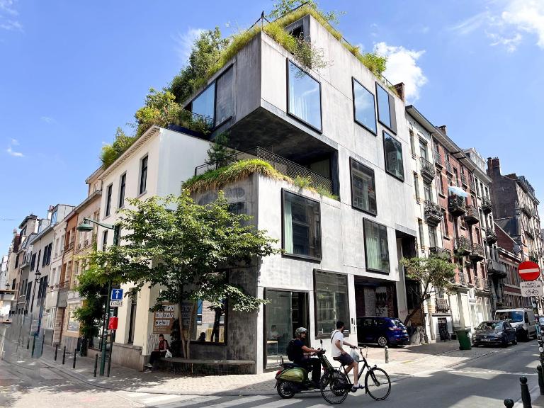 Teddy Picker - B&B Bruselas
