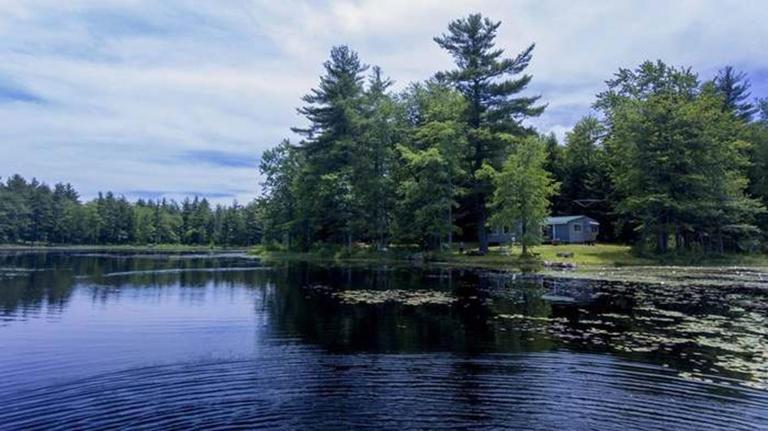 Pet-friendly, secluded, and peaceful pondside home near to Keene and Rindge NH - Chambres d'hôtes Fitzwilliam