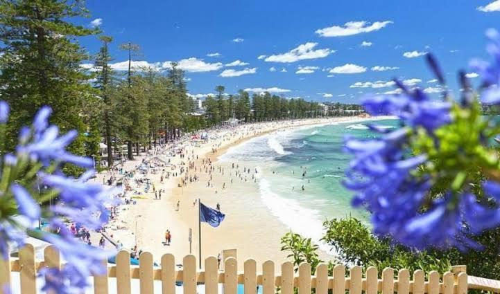 Affordable Luxury Stay Near Manly Beach - Chambres d'hôtes Sydney