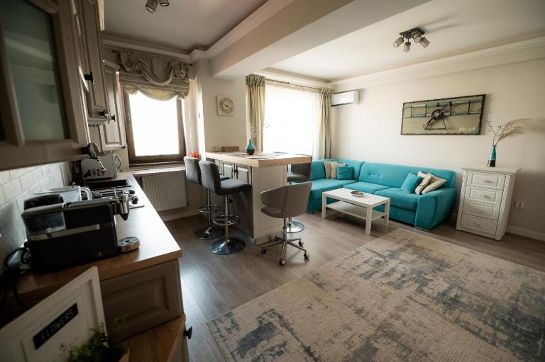 Silver Apartments near Airport&Mall - B&B Iași