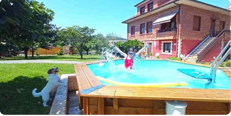 VILLA PAQUITA Anero - Ferienwohnung Anero