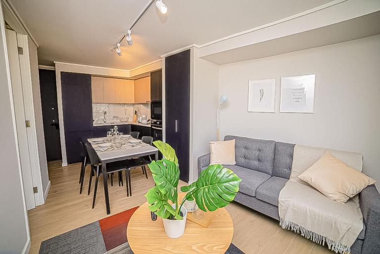 Comfortable Apartment in the Heart of Providencia - Ferienwohnung Santiago