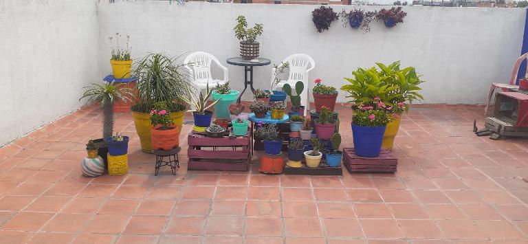 Rooftop Paradise Central Location, Scenic Views - B&B Mexico City